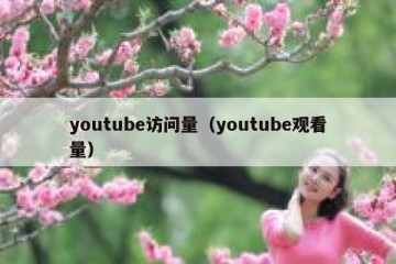 youtube访问量（youtube观看量）
