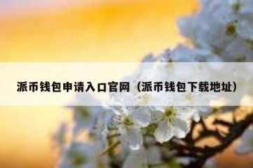 派币钱包申请入口官网（派币钱包下载地址）