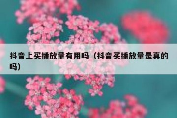 抖音上买播放量有用吗（抖音买播放量是真的吗）