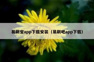 易刷宝app下载安装（易刷吧app下载）