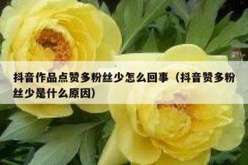 抖音作品点赞多粉丝少怎么回事（抖音赞多粉丝少是什么原因）