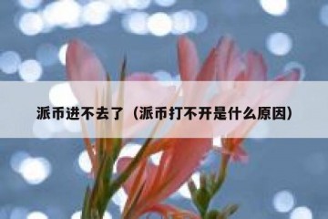 派币进不去了（派币打不开是什么原因）