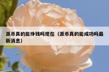 派币真的能挣钱吗现在（派币真的能成功吗最新消息）