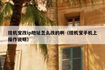 挂机宝改ip地址怎么改的啊（挂机宝手机上操作说明）