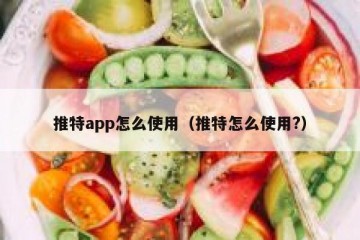 推特app怎么使用（推特怎么使用?）