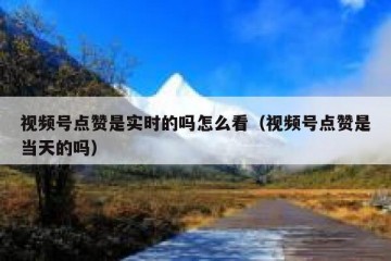 视频号点赞是实时的吗怎么看（视频号点赞是当天的吗）