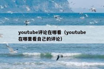 youtube评论在哪看（youtube在哪里看自己的评论）