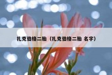 扎克伯格二胎（扎克伯格二胎 名字）