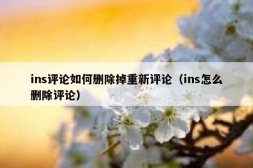 ins评论如何删除掉重新评论（ins怎么删除评论）