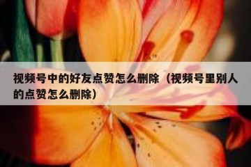 视频号中的好友点赞怎么删除（视频号里别人的点赞怎么删除）