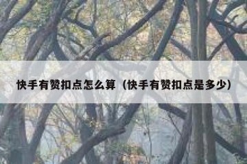 快手有赞扣点怎么算（快手有赞扣点是多少）