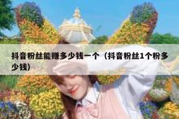 抖音粉丝能赚多少钱一个（抖音粉丝1个粉多少钱）