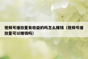 视频号播放量有收益的吗怎么赚钱（视频号播放量可以赚钱吗）