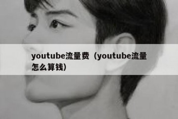 youtube流量费（youtube流量怎么算钱）