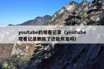 youtube的观看记录（youtube观看记录删除了还能恢复吗）