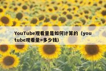 YouTube观看量是如何计算的（youtube观看量=多少钱）
