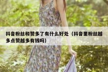 抖音粉丝和赞多了有什么好处（抖音里粉丝越多点赞越多有钱吗）