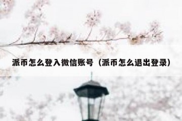 派币怎么登入微信账号（派币怎么退出登录）