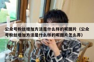 公众号粉丝增加方法是什么样的呢图片（公众号粉丝增加方法是什么样的呢图片怎么弄）