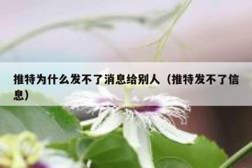 推特为什么发不了消息给别人（推特发不了信息）