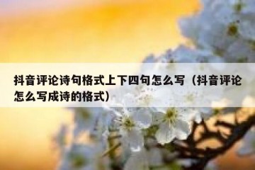 抖音评论诗句格式上下四句怎么写（抖音评论怎么写成诗的格式）