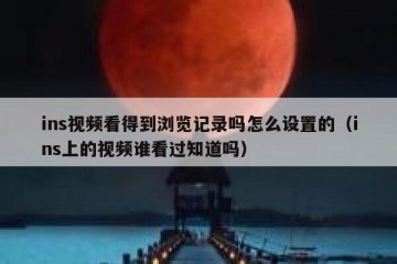 ins视频看得到浏览记录吗怎么设置的（ins上的视频谁看过知道吗）