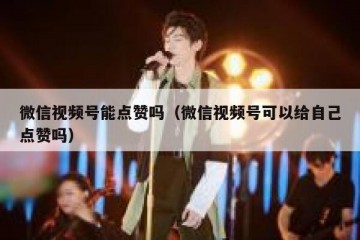 微信视频号能点赞吗（微信视频号可以给自己点赞吗）