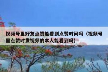 视频号里好友点赞能看到点赞时间吗（视频号里点赞时发视频的本人能看到吗）