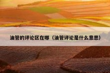 油管的评论区在哪（油管评论是什么意思）