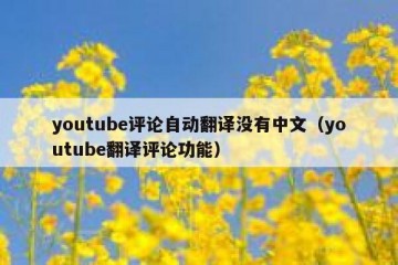 youtube评论自动翻译没有中文（youtube翻译评论功能）
