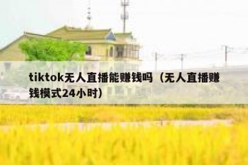 tiktok无人直播能赚钱吗（无人直播赚钱模式24小时）