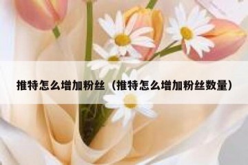 推特怎么增加粉丝（推特怎么增加粉丝数量）