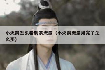 小火箭怎么看剩余流量（小火箭流量用完了怎么买）
