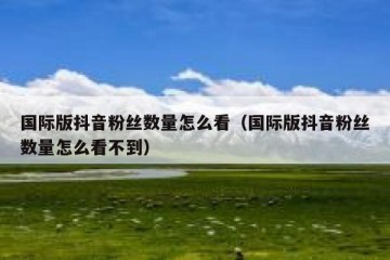 国际版抖音粉丝数量怎么看（国际版抖音粉丝数量怎么看不到）