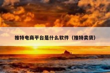 推特电商平台是什么软件（推特卖货）