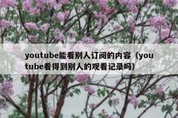 youtube能看别人订阅的内容（youtube看得到别人的观看记录吗）