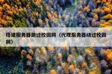 搭建服务器跳过校园网（代理服务器绕过校园网）