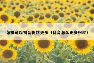 怎样可以抖音粉丝更多（抖音怎么更多粉丝）