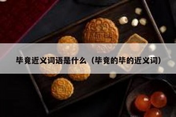 毕竟近义词语是什么（毕竟的毕的近义词）