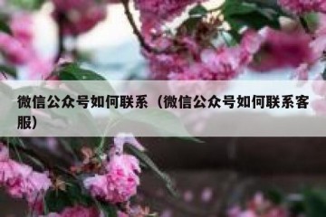 微信公众号如何联系（微信公众号如何联系客服）