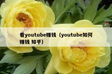 看youtube赚钱（youtube如何赚钱 知乎）