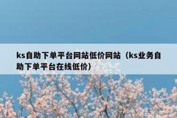 ks自助下单平台网站低价网站（ks业务自助下单平台在线低价）