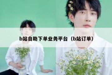 b站自助下单业务平台（b站订单）