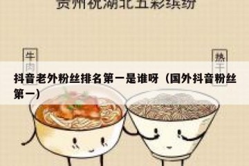 抖音老外粉丝排名第一是谁呀（国外抖音粉丝第一）