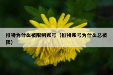 推特为什么被限制账号（推特账号为什么总被限）