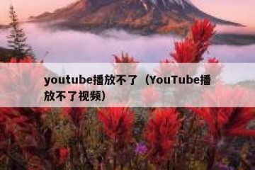 youtube播放不了（YouTube播放不了视频）