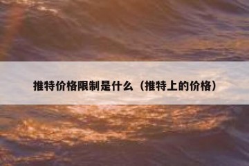 推特价格限制是什么（推特上的价格）