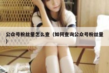 公众号粉丝量怎么查（如何查询公众号粉丝量）