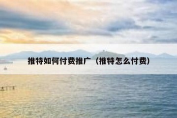 推特如何付费推广（推特怎么付费）