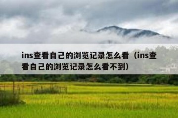 ins查看自己的浏览记录怎么看（ins查看自己的浏览记录怎么看不到）